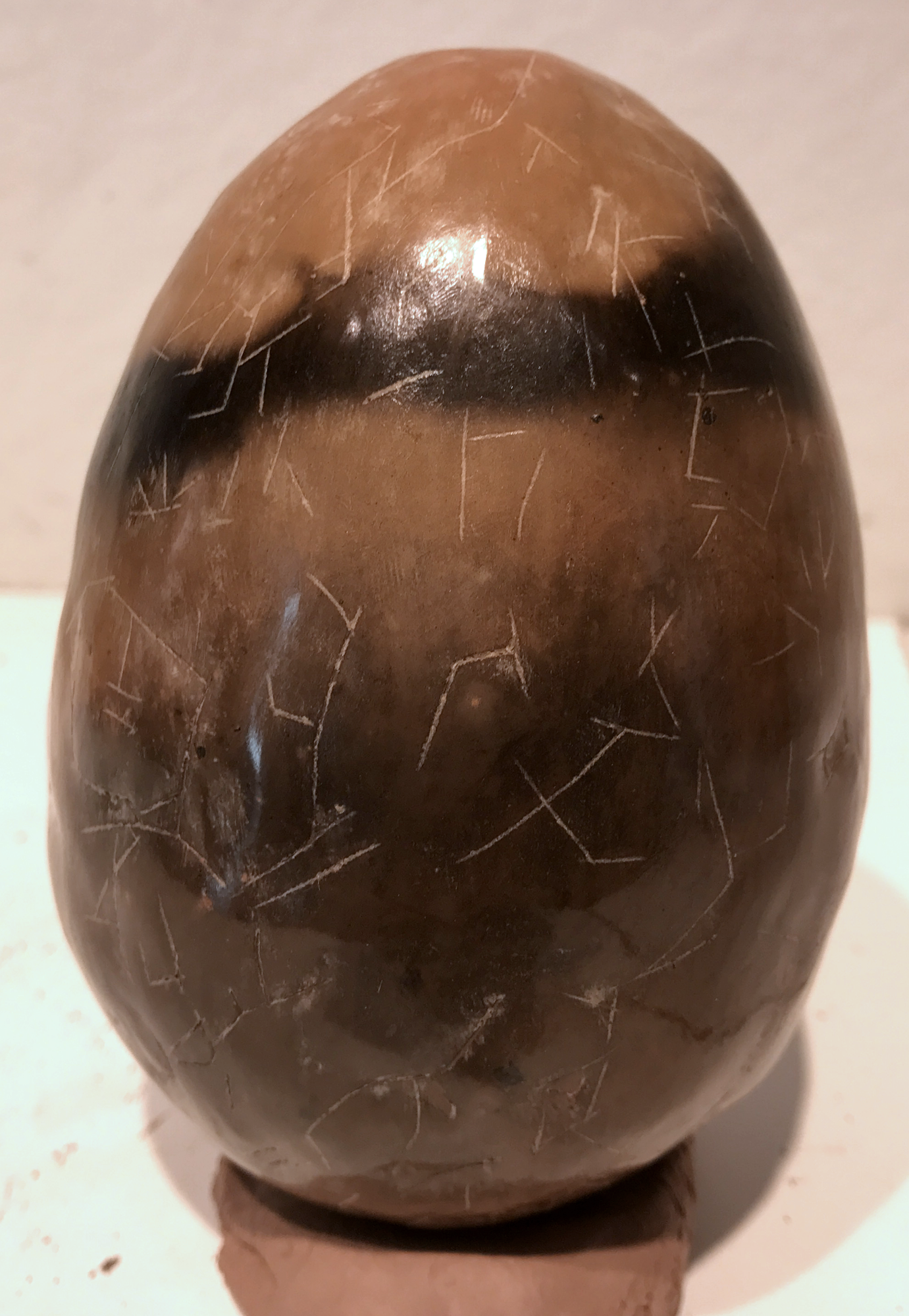 Egg, 2017