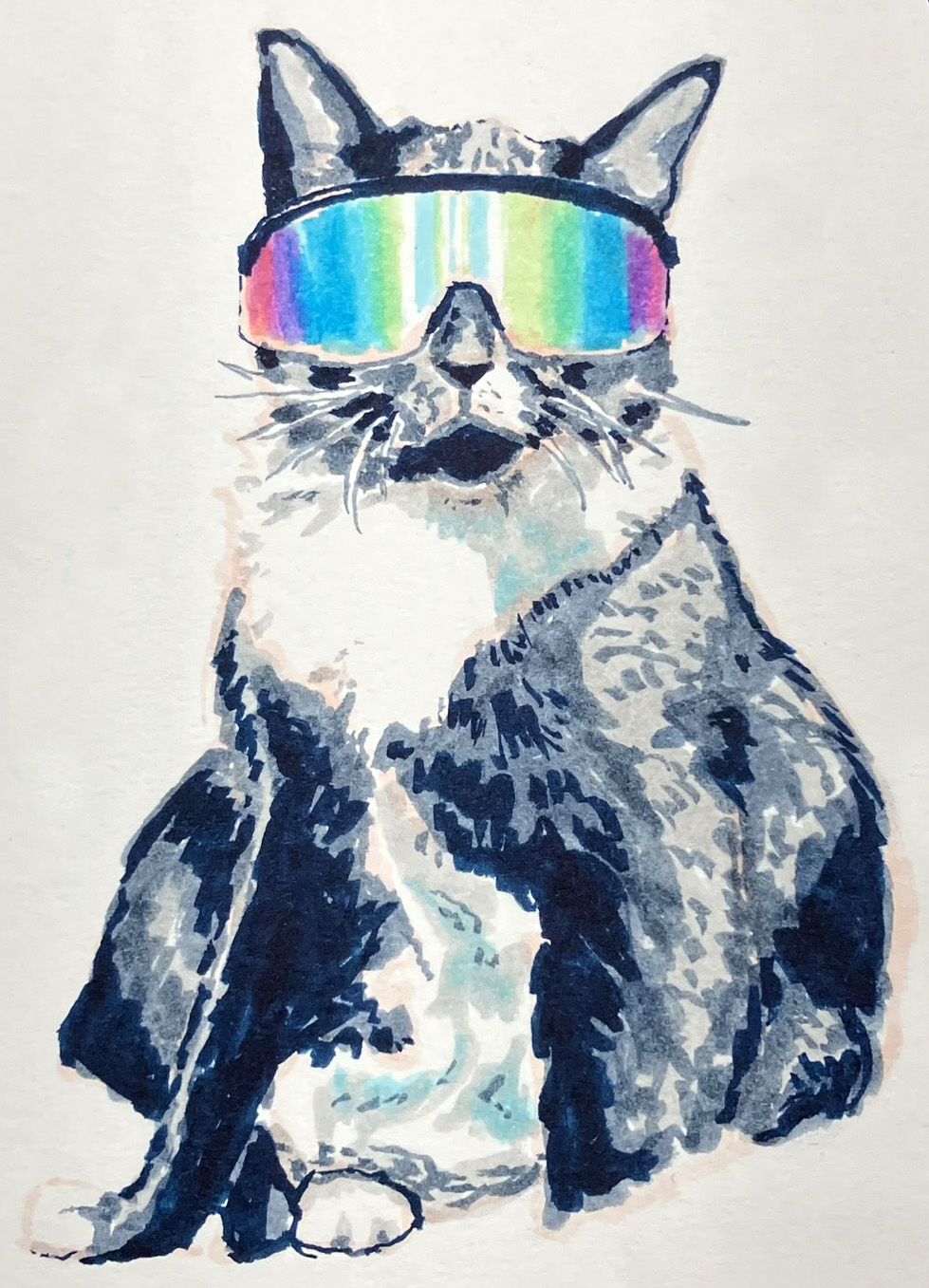 Oakleys Cat, 2025