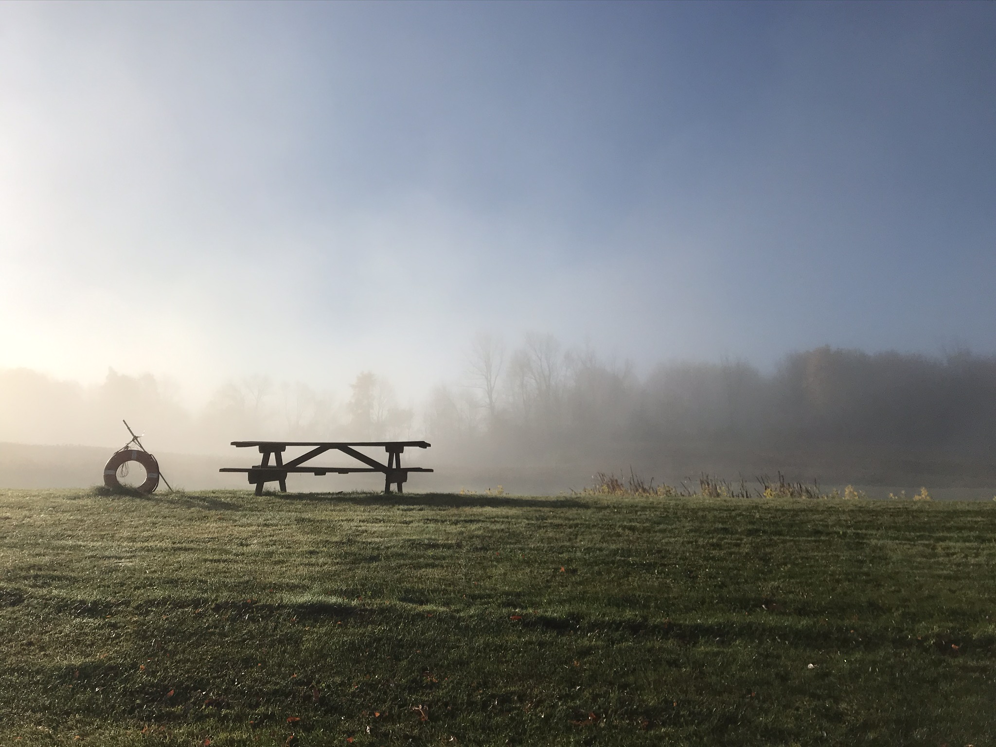 Misty Day at Golden, 2020